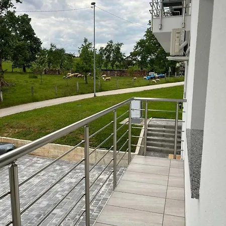 Janez House *